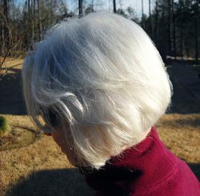 Natural chemical free shampoo
