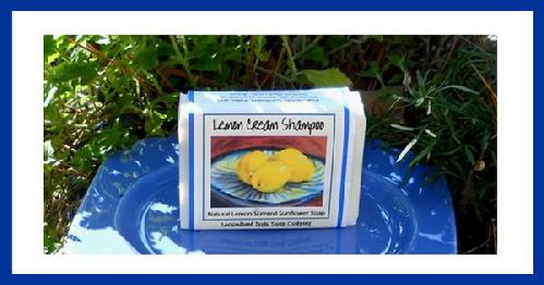 Natural chemical free shampoo